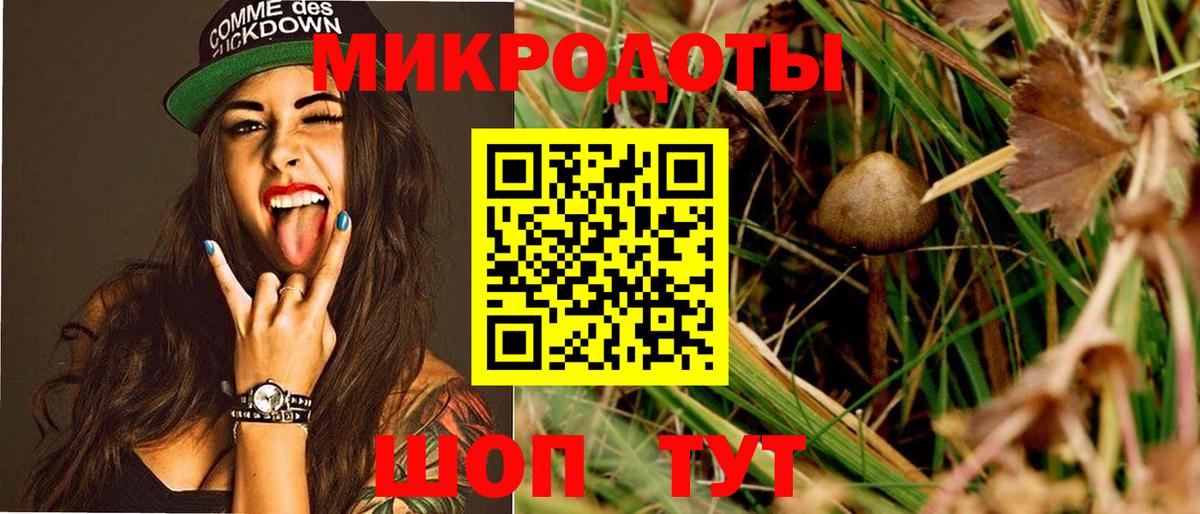 Галлюциногенные грибы ЛСД  Вход с VPN  Галлюциногенные грибы Psilocybe  закладка  Вязники 